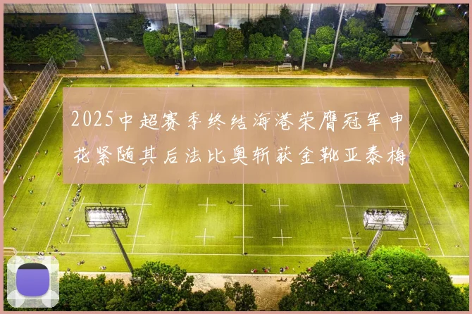 2025中超赛季终结海港荣膺冠军申花紧随其后法比奥斩获金靴亚泰梅州遗憾降级